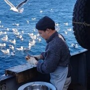 ���������� �����������, ���� ������� ����, 28 ���, ������������ ��� ������, ����� � ���������