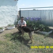  ,   , 49 ,   
