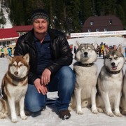 ���������� ��������, ���� ������� �����, 46 ���, ������������ ��� ������, ����� � ���������, c�������� ���������