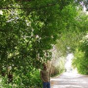 ���������� ������, ���� ������� �����, 39 ���, ������������ ��� ������, ����� � ���������