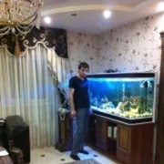 ���������� ���������, ���� ������� Ruc�am, 39 ���, ������������ ��� ������, ����� � ���������, c�������� ���������