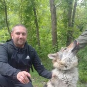 ���������� ������, ���� ������� �����, 43 ����, ������������ ��� ������, ����� � ���������