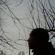  ,   , 38 ,     , c 