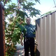  -,   , 38 ,     , c 
