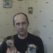  ,   , 52 ,   