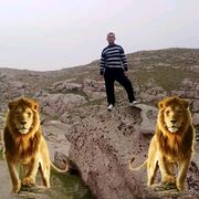 ���������� �����-���������, ���� ������� �������, 48 ���, ������������ ��� ������, ����� � ���������