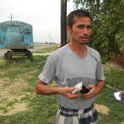 ���������� ������, ���� ������� ����, 50 ���, ������������ ��� ������, ����� � ���������, c�������� ���������, ���������