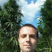 ���������� ���������, ���� ������� ���������, 33 ����, ������������ ��� ����� � ���������, c�������� ���������