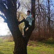 ���������� ���������, ���� ������� ������, 63 ����, ������������ ��� ����� � ���������, c�������� ���������, ���������