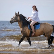 ���������� �����-���������, ���� ������� �������, 37 ���, ������������ ��� ����� � ���������, c�������� ���������