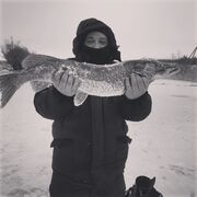 ���������� ������, ���� ������� ��������, 42 ����, ������������ ��� ������, ����� � ���������, c�������� ���������