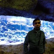 ���������� ������, ���� ������� ������, 38 ���, ������������ ��� ������, ����� � ���������, c�������� ���������