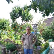  -,   , 56 ,   ,   , 
