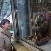  ,   Yana, 43 ,   ,   , c 