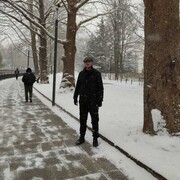 ���������� ���������, ���� ������� Elmar, 31 ���, ������������ ��� ����� � ���������