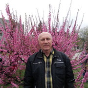  ,   , 76 ,   ,   