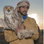 ���������� �������, ���� ������� Sanjar, 38 ���, ������������ ��� ������