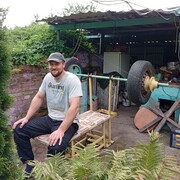  ,   , 31 ,   ,   , c , 