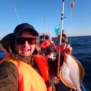 ����������� �������