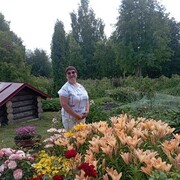 ���������� �������, ���� ������� �����, 62 ����, ������������ ��� ������, ����� � ���������