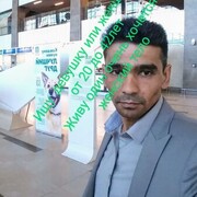  -,   , 36 ,   c 