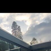 ���������� ������, ���� ����� ���������, 22 ����, ������������ ��� ������, ����� � ���������