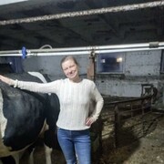 ���������� �����, ���� ������� ������, 53 ����, ������������ ��� ������, ����� � ���������, c�������� ���������