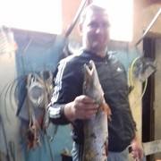 ���������� ������, ���� ������� ���, 49 ���, ������������ ��� ������, ����� � ���������, c�������� ���������