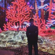 ���������� �������, ���� ������� ���������, 31 ���, ������������ ��� ������, ����� � ���������, c�������� ���������