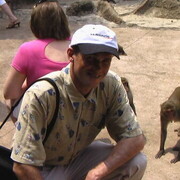 ���������� ������, ���� ������� Roman, 41 ���, ������������ ��� ������, ����� � ���������, c�������� ���������