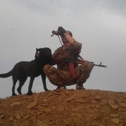 ���������� �������, ���� ������� ������, 37 ���, ������������ ��� ������, ����� � ���������, c�������� ���������