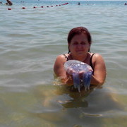  ,   , 50 ,   ,   , c 