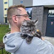 ���������� �����-���������, ���� ������� �������, 41 ���, ������������ ��� ������, ����� � ���������