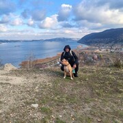 ���������� ��������, ���� ������� �������, 38 ���, ������������ ��� ������, ����� � ���������, c�������� ���������