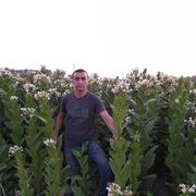 ���������� ������, ���� ������� ��������, 43 ����, ������������ ��� c�������� ���������