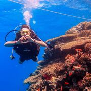 ���������� ������, ���� ������� ����, 32 ����, ������������ ��� ������, ����� � ���������