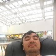 ���������� �������, ���� ������� ����, 42 ����, ������������ 