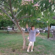 ���������� ��������, ���� ������� ������, 33 ����, ������������ ��� c�������� ���������