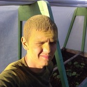  ,   , 29 ,  