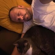 ���������� ������, ���� ������� ����, 36 ���, ������������ ��� ����� � ���������, c�������� ���������