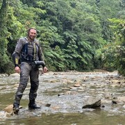 ���������� ������, ���� ������� ���������, 43 ����, ������������ ��� ������