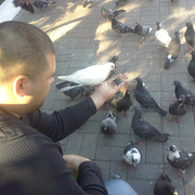 ���������� ��������, ���� ������� �������, 42 ����, ������������ ��� ������, ����� � ���������, c�������� ���������