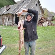  ,   , 41 ,   ,   , c 