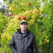  ,   , 54 ,   