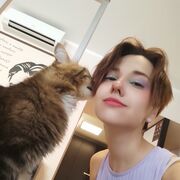 ,  , 26