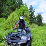 ���������� ������, ���� ������� ������, 43 ����, ������������ ��� ������, ����� � ���������