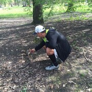 ���������� �����-���������, ���� ������� �������, 38 ���, ������������ ��� ������, ����� � ���������, c�������� ���������