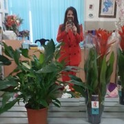  ,   , 44 ,   