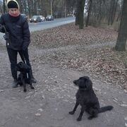  -,   , 37 ,   ,   