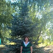  -,   , 41 ,     , c 